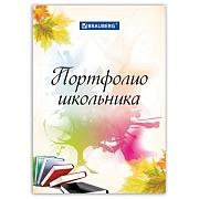 Листы-вкладыши для портфолио ШКОЛЬНИКА, 30 разделов, 32 листа, 'Моё портфолио', BRAUBERG, 127550