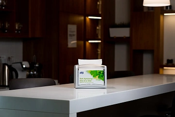 Диспенсерные салфетки Tellus (tork) Xpressnap N4 16x23см, белые, 2 слоя, 200шт, 10844 (10840)