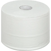 Бумага туалетная д/дисп Luscan Prof Etalon ЦВ 2сл бел цел 100м 12рул/уп