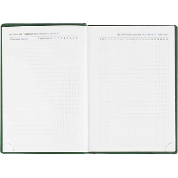 Ежедневник датированный 2026, зеленый,А5, 148х218 мм,352 стр,АТТАСНЕ Вива