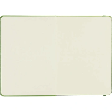 Ежедневник недатированный зеленый, А5 136 л., Dairy, ATTACHE