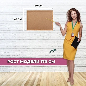 Доска пробковая 45х60 Attache деревянная рама