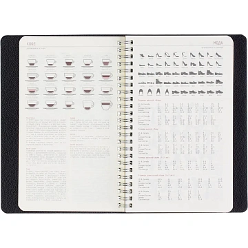 Ежедневник недатированный А5 ALBA черный, 136л 3-783/01