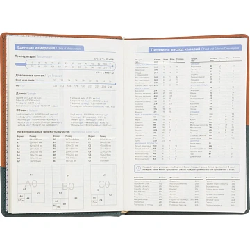 Ежедневник недатированный Attache Selection Western коричневый/зелен, 160л