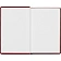 Ежедневник недатированный бордо, А6,100x150, 320стр, Agenda