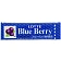 Жевательная резинка Lotte Blue Berry, 26г