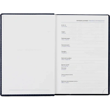 Ежедневник недатированный синий, А5, 148x218, 352стр, Agenda