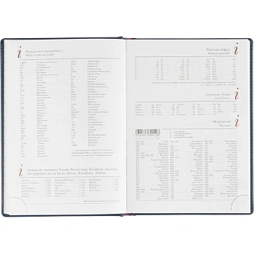 Ежедневник недатированный А5 LEADER (СИНИЙ) 3-129/01