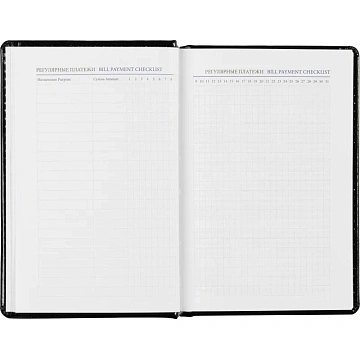 Ежедневник недатированный черн, А6, 100x150, 320стр, Agenda