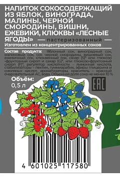 Напиток сокосодержащий Фрутмотив Ягодный микс, 500мл