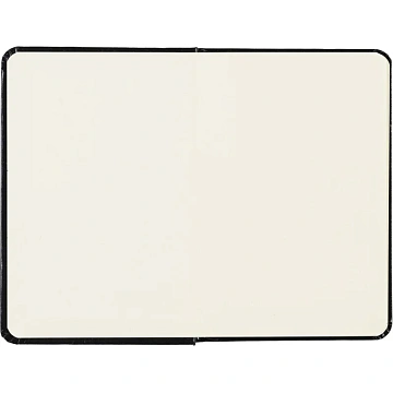 Ежедневник недатированный черный, А6,87х130,100л, Br.V.MEGAPOLIS 3-283/02