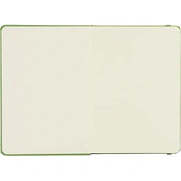 Ежедневник недатированный зеленый, А5 136 л., Dairy, ATTACHE