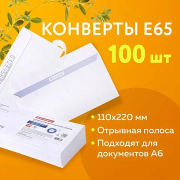 Конверты Е65 (110х220 мм), отрывная лента, Куда-Кому, внутренняя запечатка, КОМПЛЕКТ 100 шт., BRAUBE