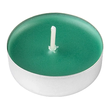 Tarrington House Свеча Чайная ароматическая Хвойная иголка, 9шт