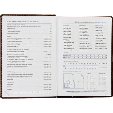 Ежедневник недатированный коричн, А5, 148x218, 352стр, Agenda
