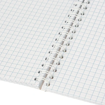 Бизнес-тетрадь А6,80л,кл,бок.греб,карт+УФлак Attache Selection TravelItaly