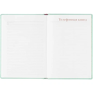 Ежедневник недатированный А5+, 136л, Velvet зефирный мятный 3-115/36