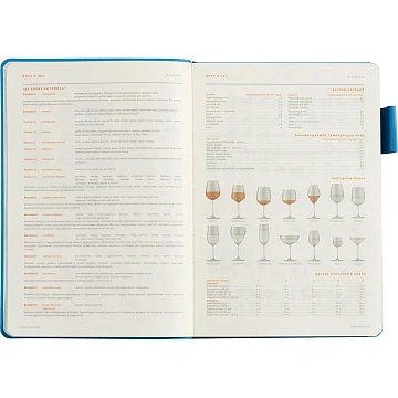 Ежедневник недатированный А5 BOSTON (СИНИЙ) 3-228/06