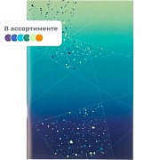 Тетрадь общая А4,48л,кл,скоб,офсет-2 Ice син/зел