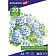 Папка для рисования БОЛЬШОГО ФОРМАТА А3, 20 л., 200 г/м2, BRAUBERG, 297х420 мм, 129224