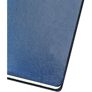 Ежедневник недатированный A4, , Megapolis синий 160л3-026/01