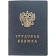 Бланк Трудовая книжка (новый 2023г)