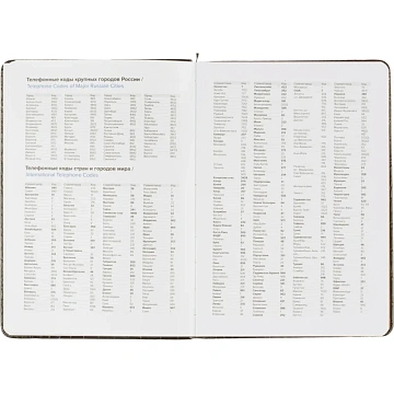 Ежедневник недатированный черный, рептилия, А5 136 л., ATTACHE