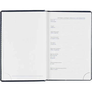 Ежедневник датированный 2026, синий,А6, 100х150 мм,336 стр,Agenda