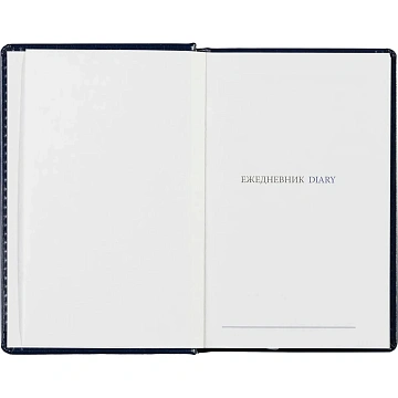 Ежедневник недатированный синий, А6,100x150, 320стр, Agenda