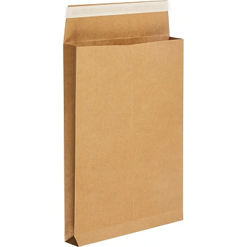Пакет крафт B4 стрип Extrapack250х353х40 120г 25шт/уп/6569