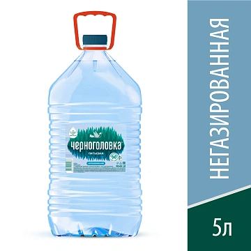 Вода Черноголовка природная питьевая негазированная, 5л