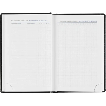 Ежедневник датированный 2026, черный,А6, 100х150 мм,336 стр,Agenda