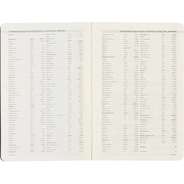 Ежедневник недатированный А5, 136л, MEGAPOLIS FLEX бордовый 3-531/02