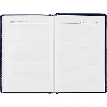Ежедневник недатированный синий, А6,100x150, 320стр, Agenda