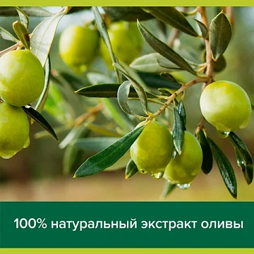 Мыло жидкое 300 мл, PALMOLIVE НАТУРЭЛЬ 'Олива и увлажняющее молочко', дозатор, 1763, 8693495017633