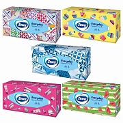 Салфетки косметические 100 штук в картонном боксе, 2-слойные, ZEMMA/ZEWA Everyday, 62861