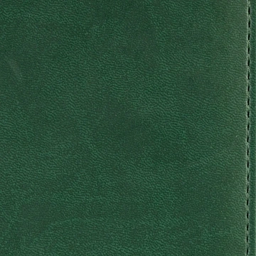 Ежедневник недатированный зелёный,А5,143х210мм,176л,ATTACHE Сиам