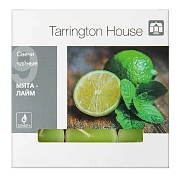 Tarrington House Свеча Чайная ароматическая Лайм & мята, 9шт