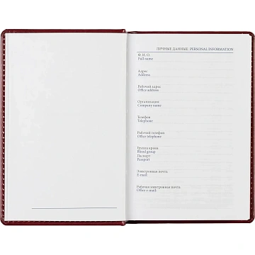Ежедневник недатированный бордо, А6,100x150, 320стр, Agenda