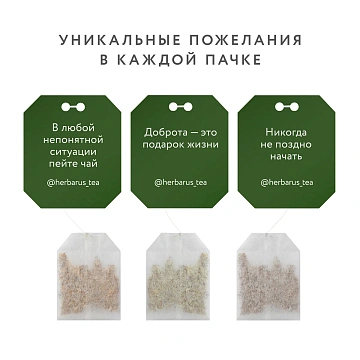 Чайный напиток напиток Herbarus, Имбирная Энергия, 24пак