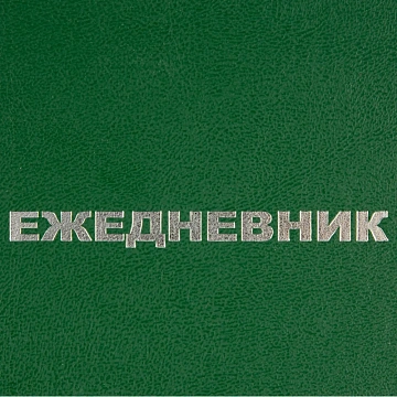 Ежедневник недатированный А5,128л.,55-65 г,бумвинил зеленый,Attache Economy