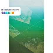 Тетрадь общая А4,48л,кл,скоб,офсет-2 Ice син/зел