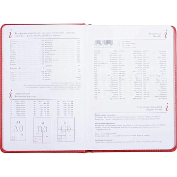 Ежедневник недатированный красн,А5,145х205мм,136л, Sidney NEBRASKA 3-128/08