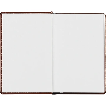 Ежедневник недатированный коричневый,А6,100x150, 320стр,Agenda