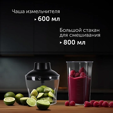 Блендер погружной Red Solution HB2901