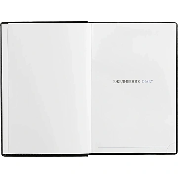 Ежедневник недатированный черный, А5,148x218, 352стр, Agenda