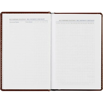 Ежедневник недатированный коричневый,А6,100x150, 320стр,Agenda