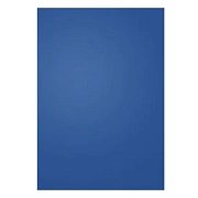 Обложки для переплета пластиковые Profioffice 39005, А4, 280 мкм, 100шт, синие