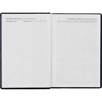 Ежедневник недатированный синий, А5, 148x218, 352стр, Agenda