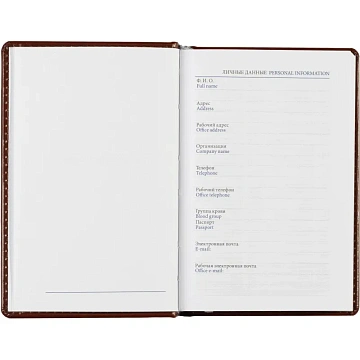 Ежедневник недатированный коричневый,А6,100x150, 320стр,Agenda